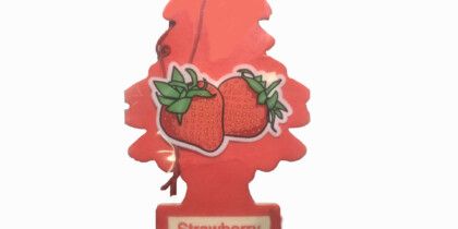 Aromatizante Pino Exhibidor Varios Aromas