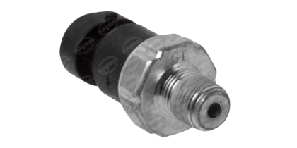 Bulbo de Aceite Cavalier 97-03